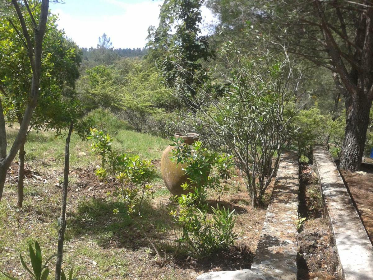 Quinta Das Lameirinhas Марван Екстер'єр фото